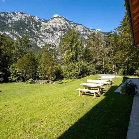 Lejlighed The Woodland Nook - Two Bedroom With Balcony Bohinj